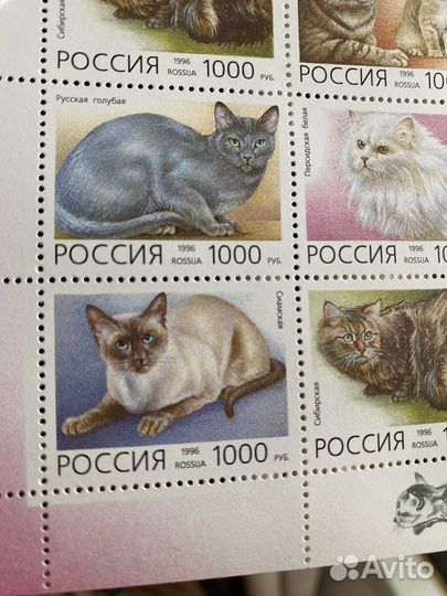Марки кошки Россия 1996 негашенные