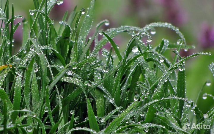 Красивые полы от простых до 3D