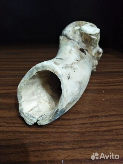 Коряги для рыбок, сомиков