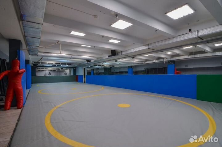 Тренировки