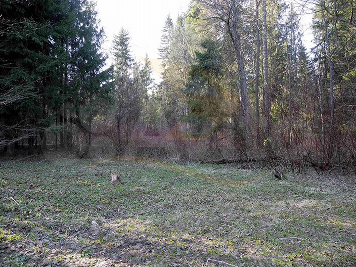 Участок 15,6 сот. (СНТ, ДНП)