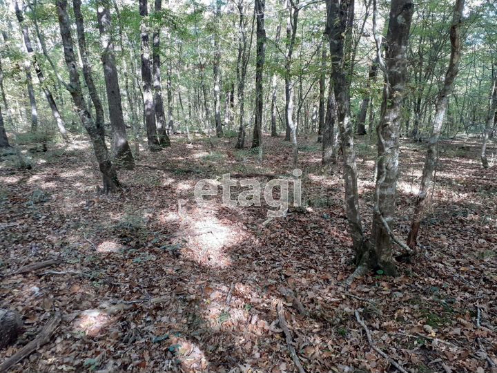 Участок 8 сот. (СНТ, ДНП)