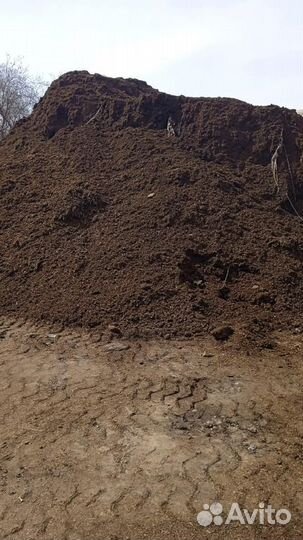 Перегной конский, коровий, чернозем от 1 тонны