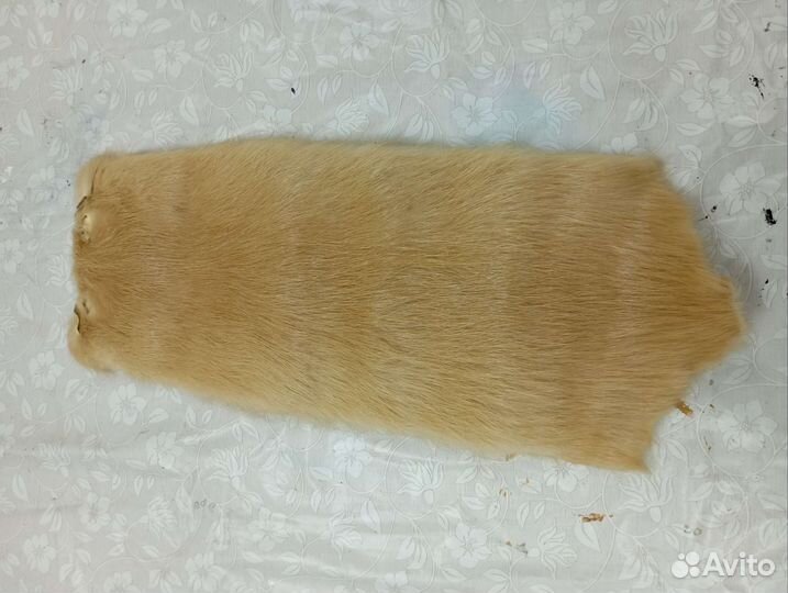 Шкурка нутрии