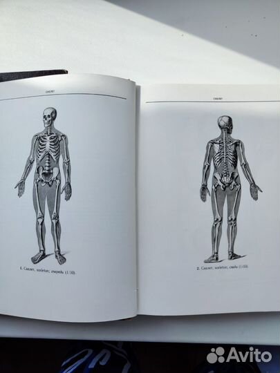 Медицинская литература