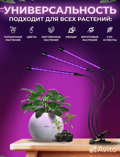 Фитолампа для растений