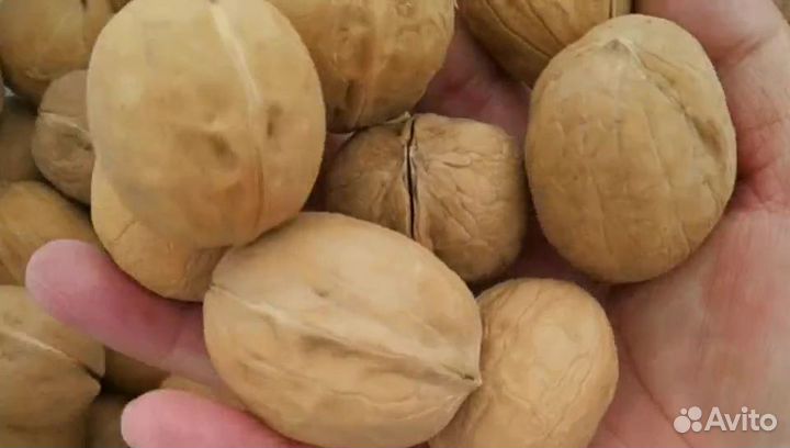 Орехи и сухофрукты