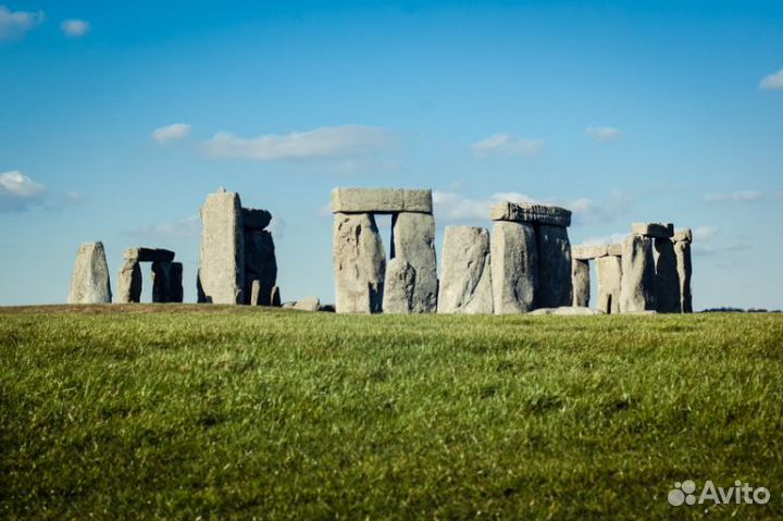 Репетитор английского языка