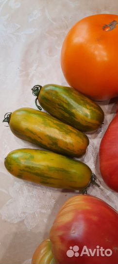 Семена ампельных и сортовых томатов, перца