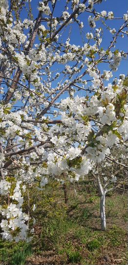 Дом 18 м² на участке 6 сот.