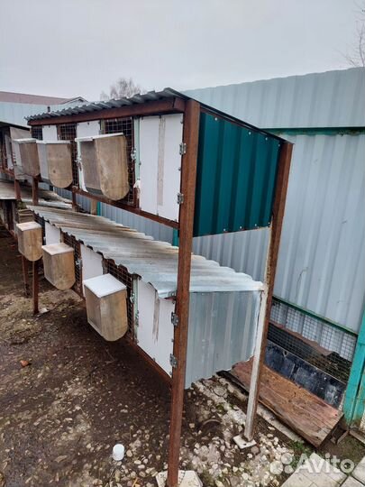 Клетки для кроликов