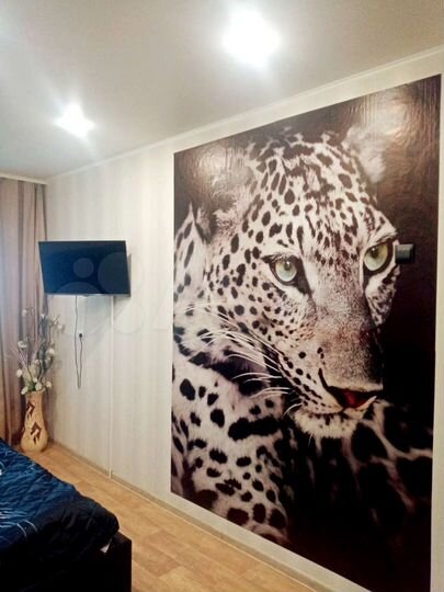 1-к. квартира, 30 м², 1/5 эт.