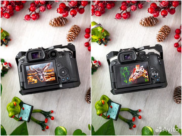 Новая Клетка для Canon EOS R7 и Canon EOS R10