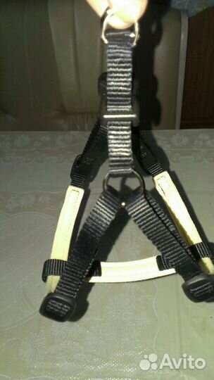 Шлейка для собаки