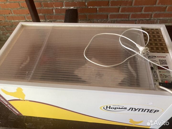 Инкубатор для яиц автоматический бу