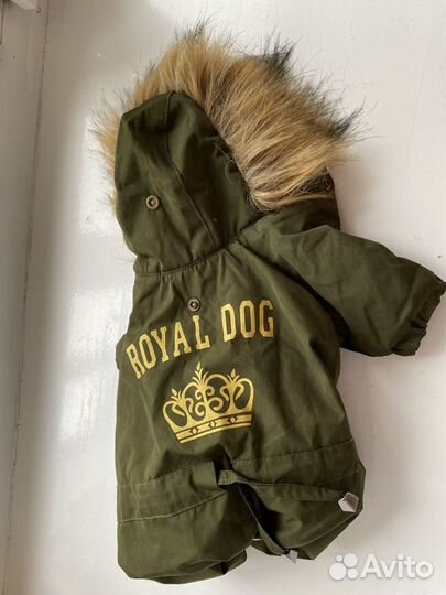 Одежда для собак