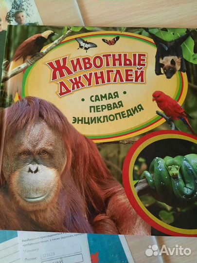 Новая книга Животные джунглей