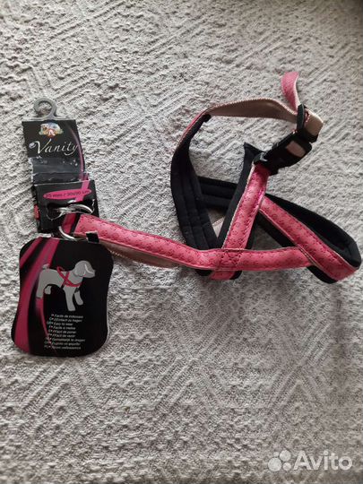 Поводок для маленьких собак