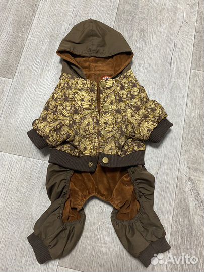 Одежда для собак мелких пород