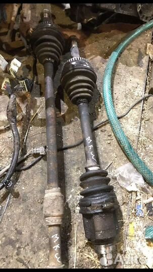 Шрузы джели мк