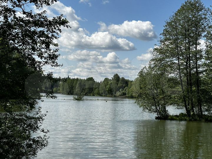 Участок 6,5 сот. (ИЖС)