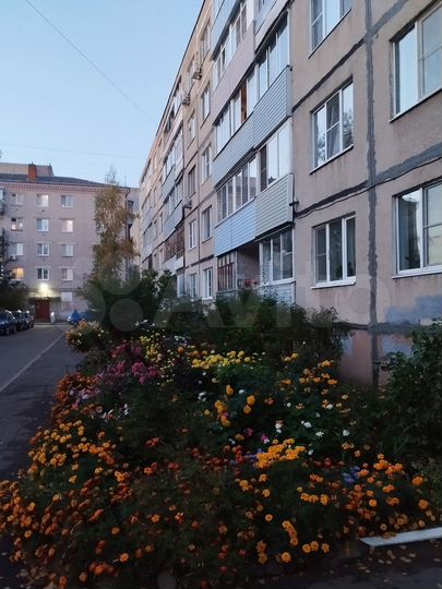 1-к. квартира, 33 м², 1/5 эт.