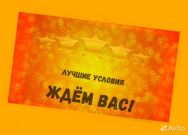 Сборщик заказов Выплаты еженедельно Без опыта М/Ж