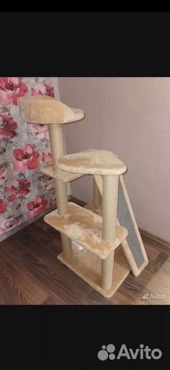 Дом когтеточка