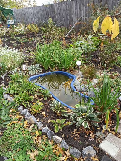 Дача 24 м² на участке 5 сот.