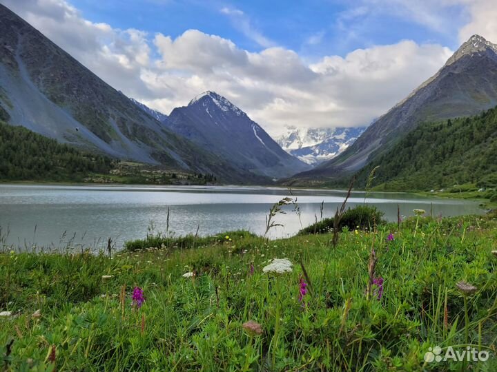 Тур на Алтай. Пеший тур к горе Белуха