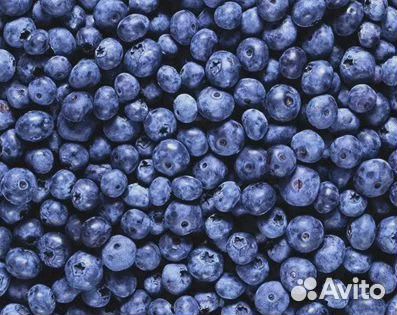 Черника замороженная Брусника