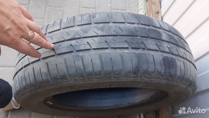 Sava Perfecta 175/55 R14