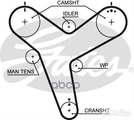 5380XS 92193x36 HSN Ремень грм 5380XS Gates