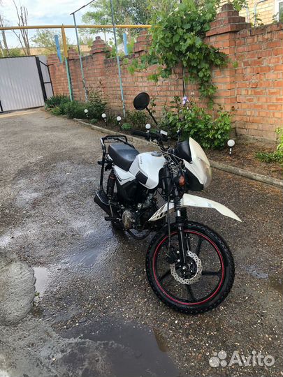 Альфа премиум