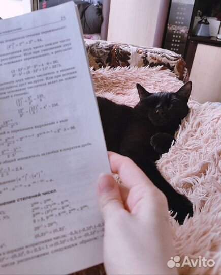 Репетитор по математике 1-9 класс