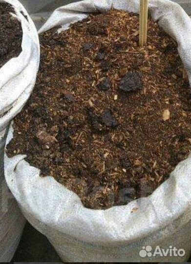 Перепелинный помет