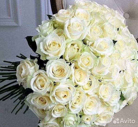 Высокие Розы с Доставкой