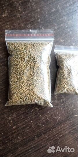 Корм для креветок,крабов,раков