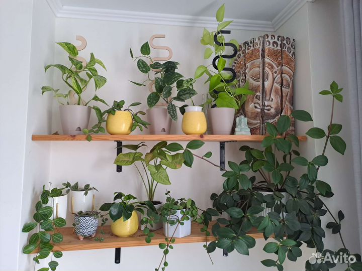 Опора для вьющихся растений