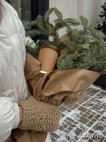 Визуализатор фотограф