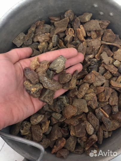 Янтарь крупный минус