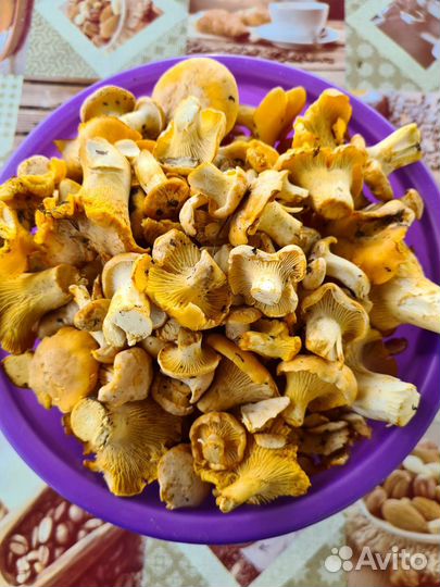 Сушеные грибы лисички