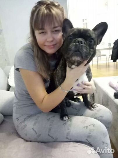 Выгул собак, передержка животных