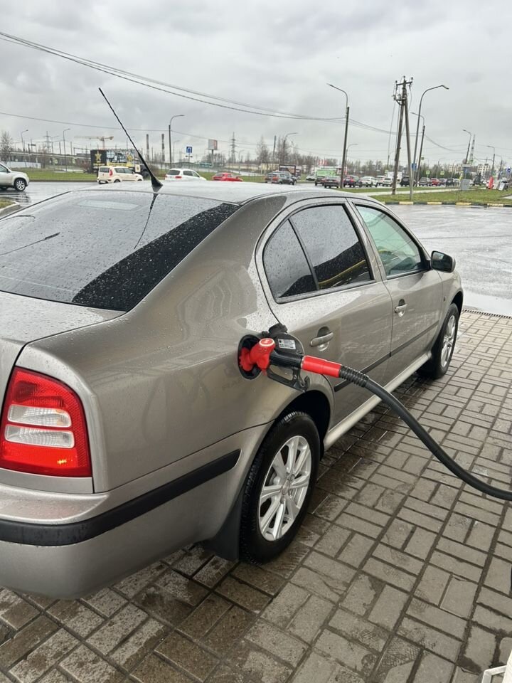 Skoda Octavia: фото владельца