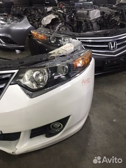 Ноускат Honda Accord 8