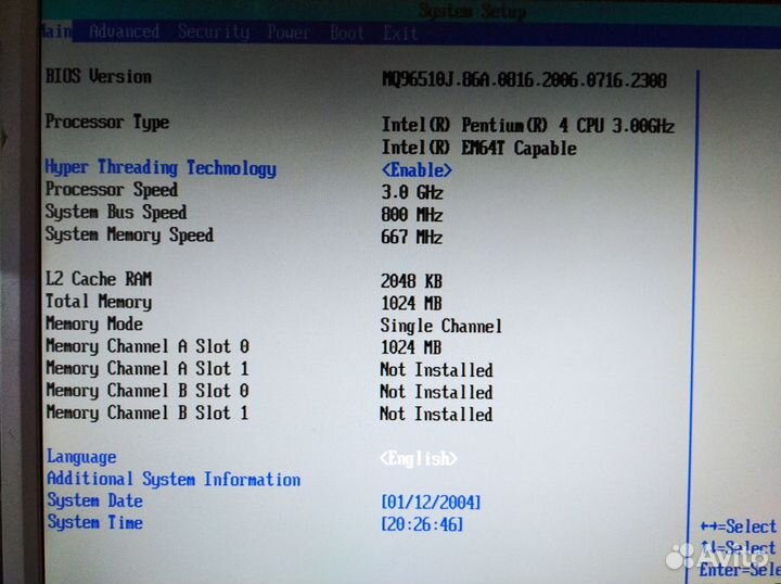 Живые материнские платы и процессоры