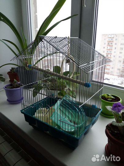 Клетка для попугая