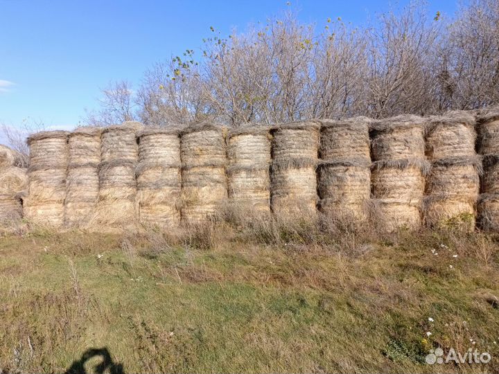 Сено в тюках