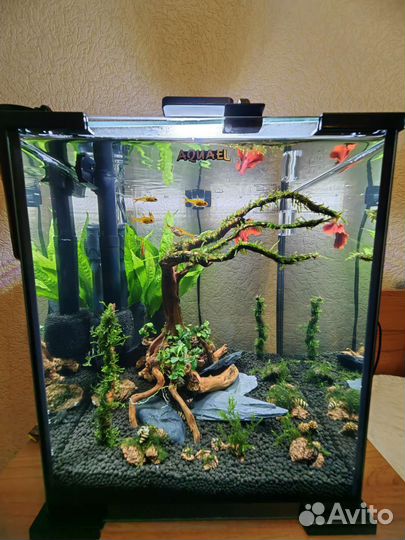 Обслуживание аквариумов