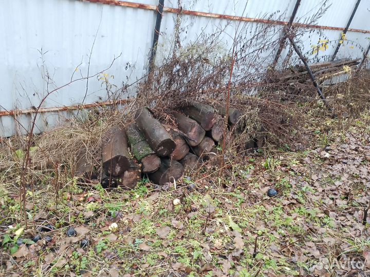 Дрова сухие